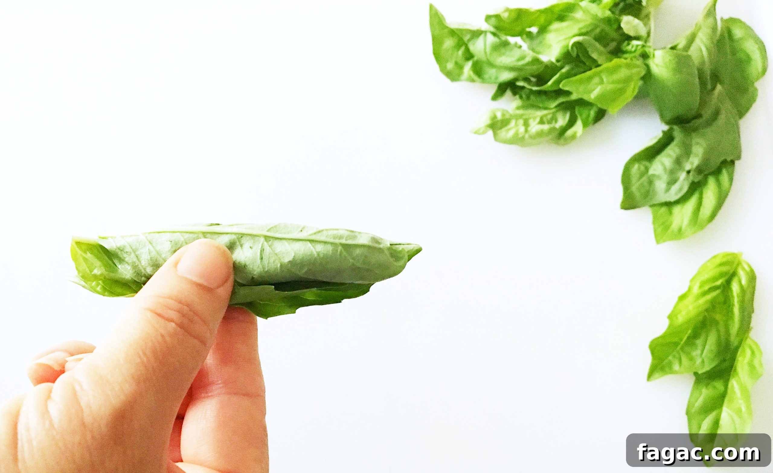 How to Chiffonade Basil Leaves for Fresh Herb Ribbons 5 img 749 4 scaled