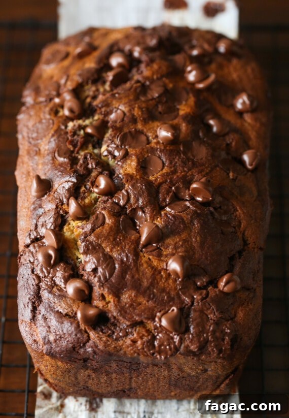 Chocolate Marble Banana Bread Recipe 8 Top view of a loaf of chocolate marbled banana bread.
