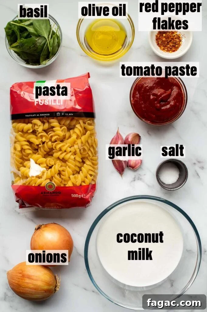 20-Minute Creamy Vegan Tomato Pasta Recipe 3 Labelled ingredients including basil, olive oil, red pepper flakes, tomato paste, pasta, garlic, salt, onions and coconut milk.