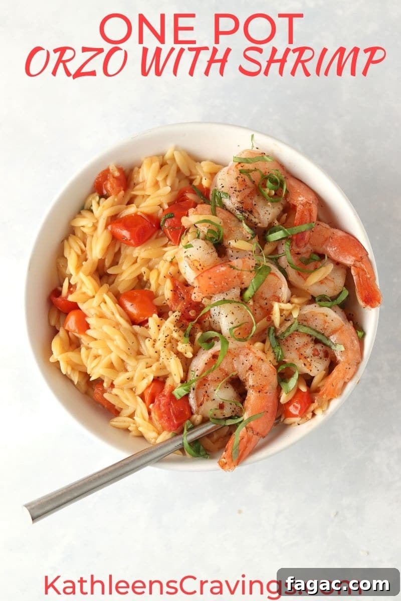 One-Pot Shrimp and Tomato Orzo with Garlic and Basil 2 orzo with shrimp and tomatoes in a bowl