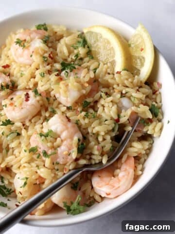 Bowl of one pot lemon shrimp orzo.