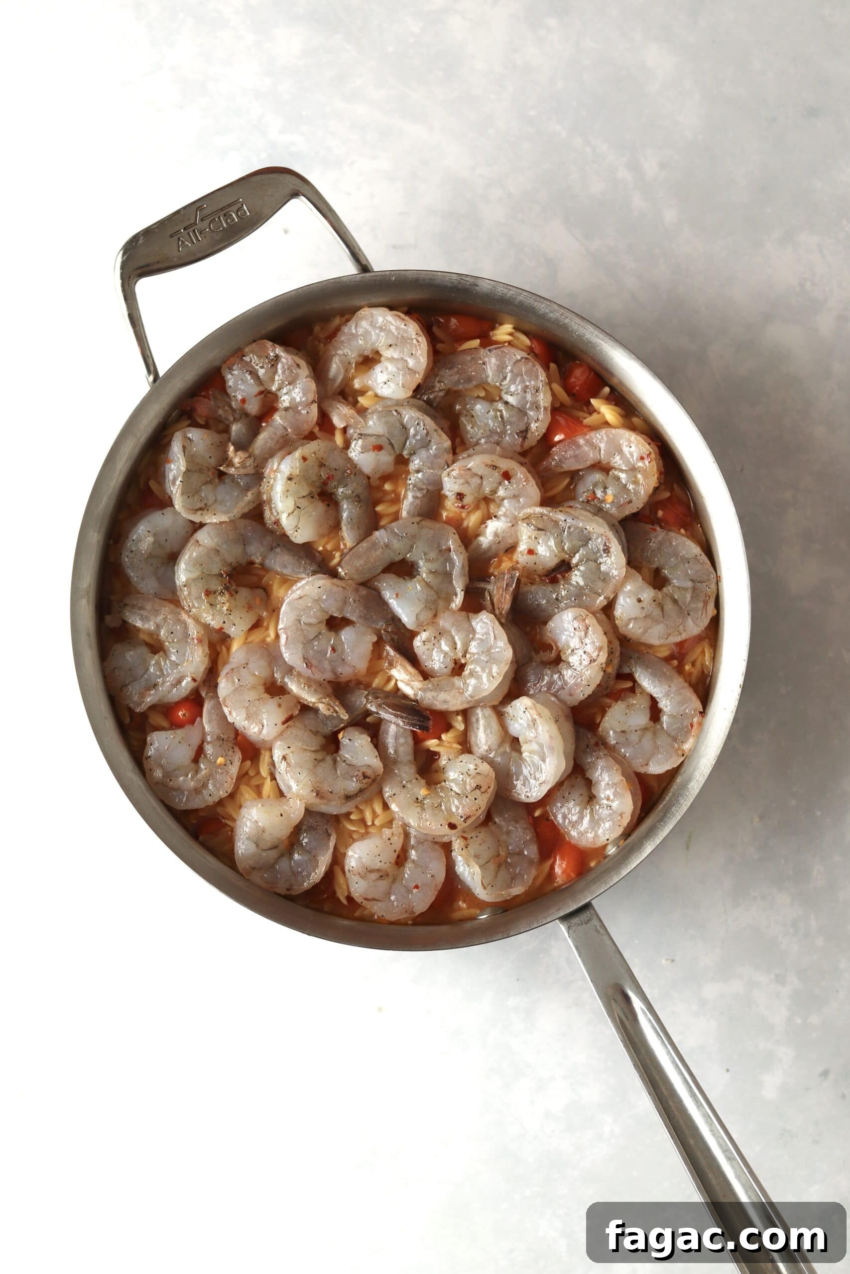 One-Pot Shrimp and Tomato Orzo with Garlic and Basil 6 raw shrimp on top of cooked orzo.