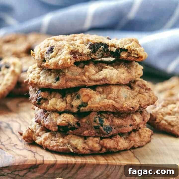 Good vs Poor Chocolate: Spot Differences and Make It at Home 12 healthy vegan oatmeal cookies recipe