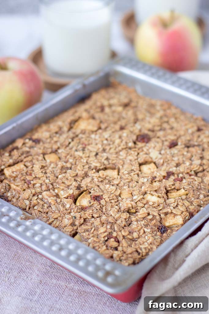 Apple Cinnamon Baked Oatmeal Recipe for Warm Fall Breakfast 3 Dish of apple cinnamon baked oatmeal filled with apples and walnuts