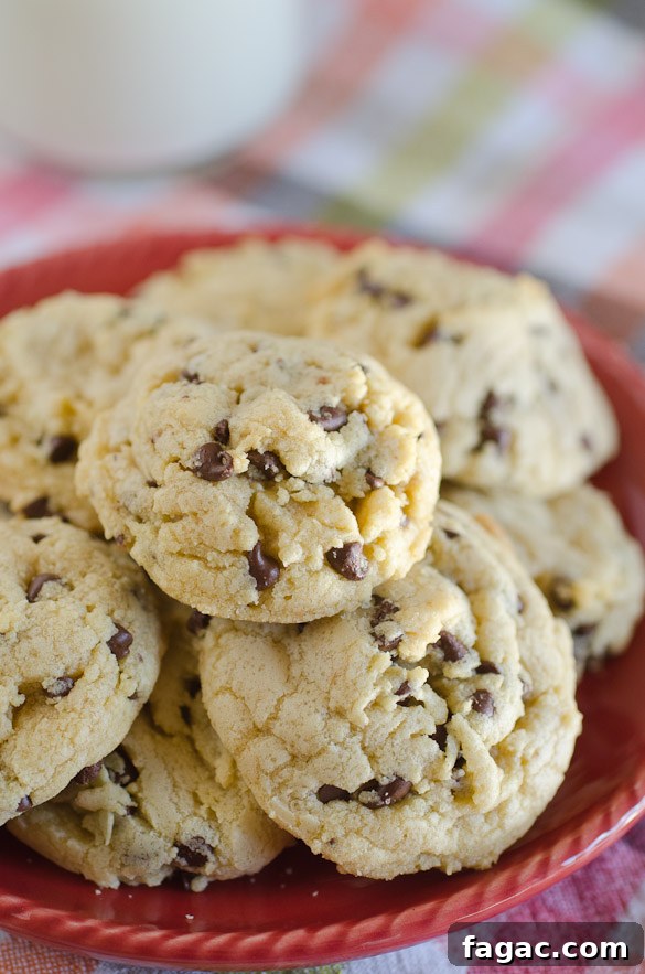 Coconut Oil Chocolate Chip Pudding Cookies-2