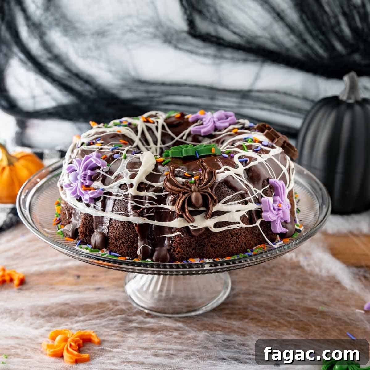Chocolate bundt cake decorated with candy spiders and marshmallow webs. Spiderwebs, pumpkins and candy spider surrounding the cake