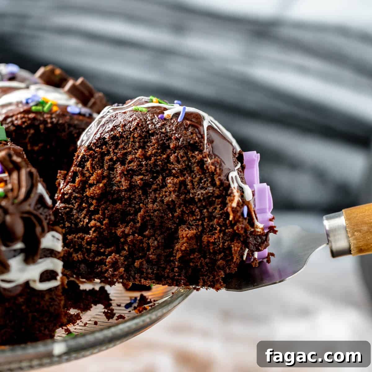 Close up of a slice of chocolate bundt cake and a purple colored spider