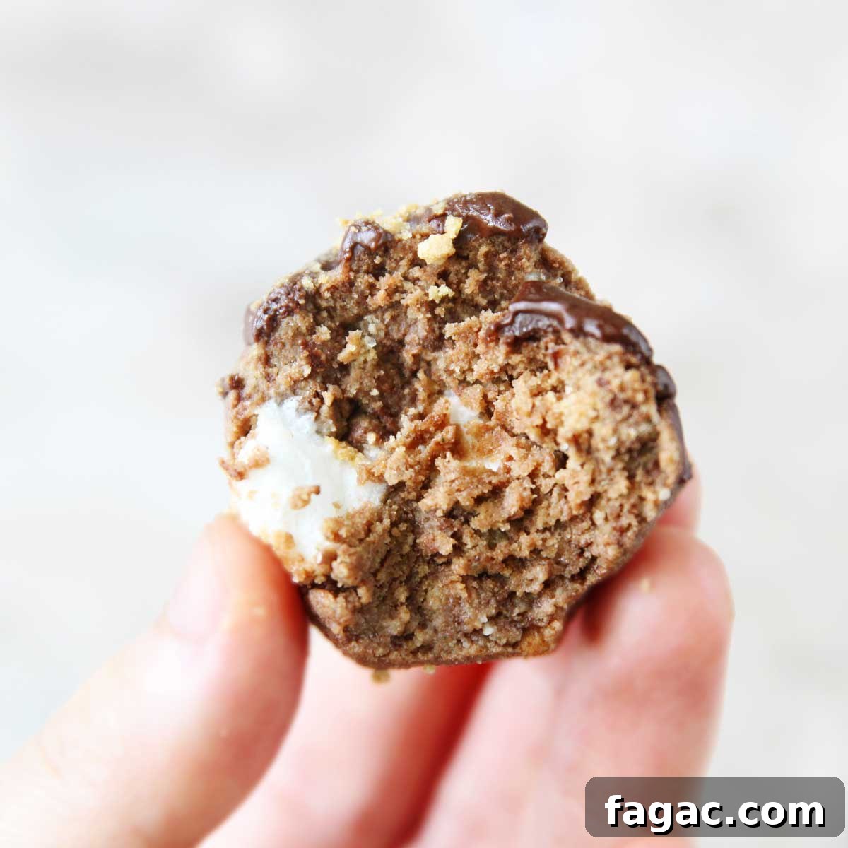 Dulce de Leche Protein Balls — 3-Ingredient Energy Bites 8 Nutella S'mores Protein Balls