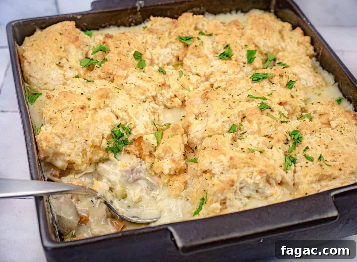 23 Classic Casseroles That Taste Like Grandma’s Comfort Cooking 15 A casserole dish of Chicken Cobbler with Red Lobster Biscuit.