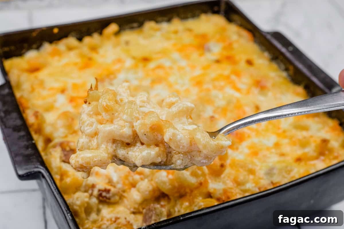 23 Classic Casseroles That Taste Like Grandma’s Comfort Cooking 24 A spoonful of Tini’s Mac & Cheese with a Twist is held above a square baking dish filled with the same dish.
