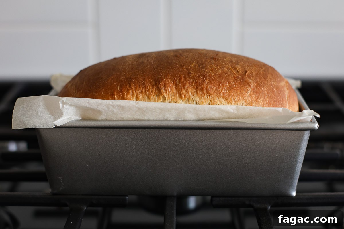 Sourdough Buttermilk Bread Recipe: Tangy Artisan Loaf Guide 11 Baked bread in a loaf pan.