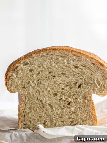 The soft interior of a sourdough sandwich bread.