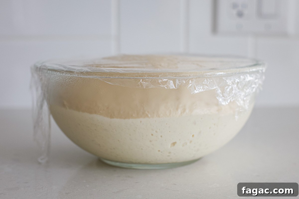Sourdough Buttermilk Bread Recipe: Tangy Artisan Loaf Guide 7 Dough in a transparent bowl with bubbles on the sides, covered with plastic wrap.