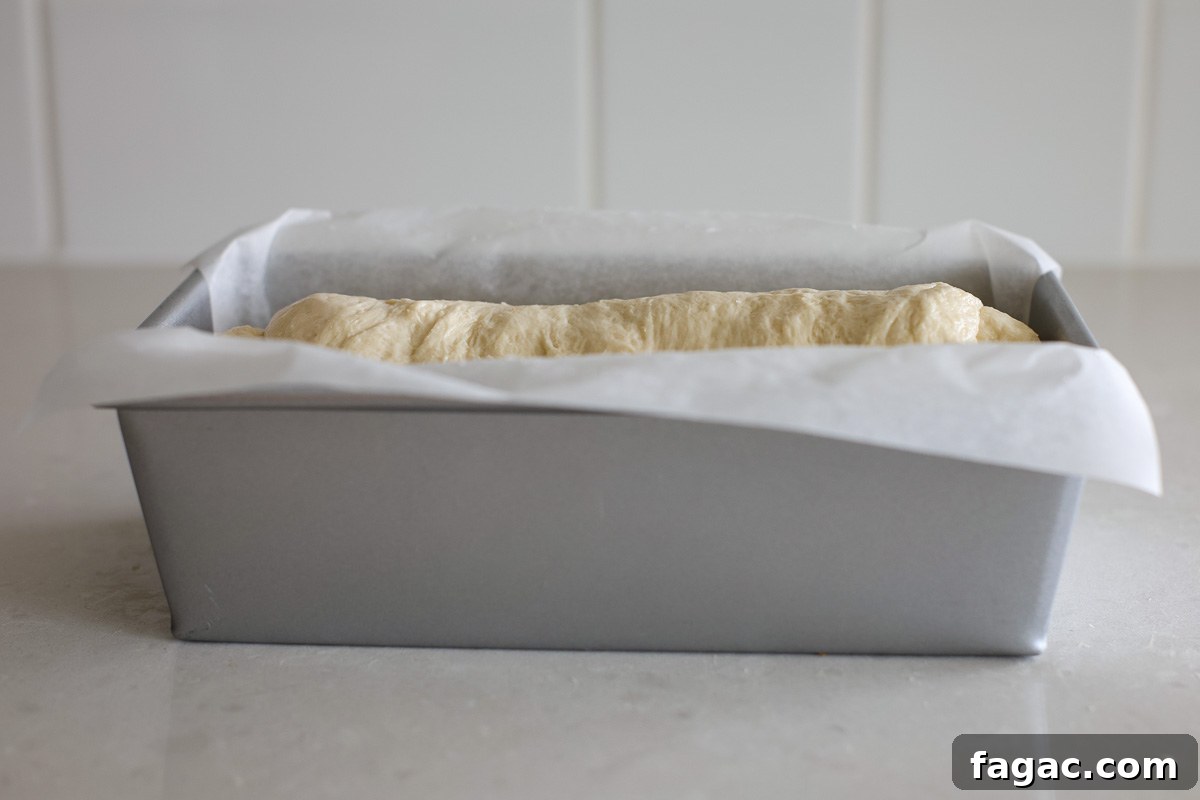 Sourdough Buttermilk Bread Recipe: Tangy Artisan Loaf Guide 10 Dough in a lined loaf pan.