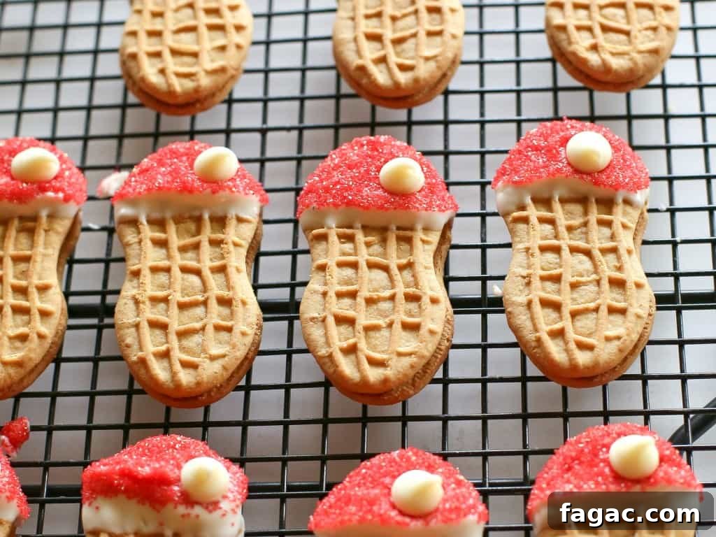 Santa Claus Cookies - easy Nutter Butter based cookies to make with your kids that are fancy enough to give to your friends. the-girl-who-ate-everything.com