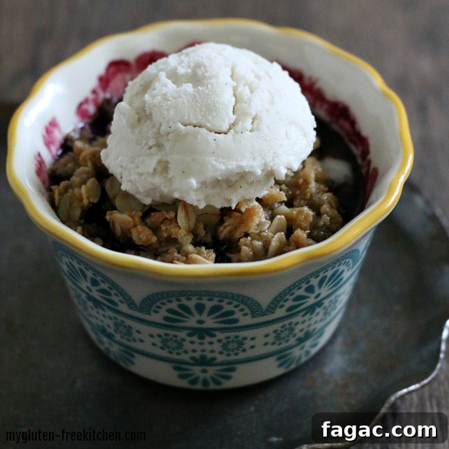 Gluten-Free Blackberry Crisp Recipe for Two — Quick Summer Dessert 4 Individual gluten-free blackberry crisp