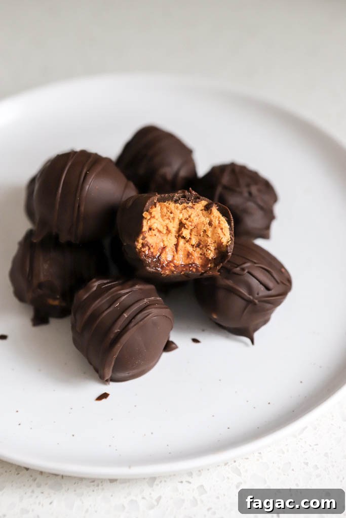 No-Bake Peanut Butter Graham Balls — 5 Ingredients 3 no bake peanut butter balls with powdered sugar on a white plate