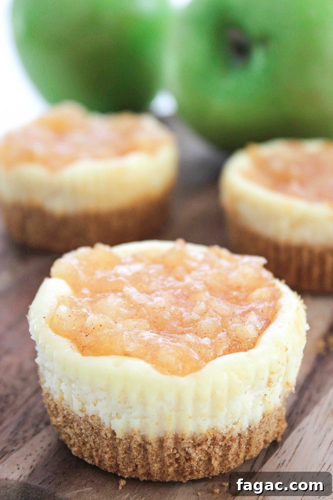 Mini Apple Pie Cheesecake Bites — Bite-Sized Fall Dessert 2 Apple Pie Mini Cheesecake Bites