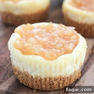 Apple Pie Mini Cheesecake Bites