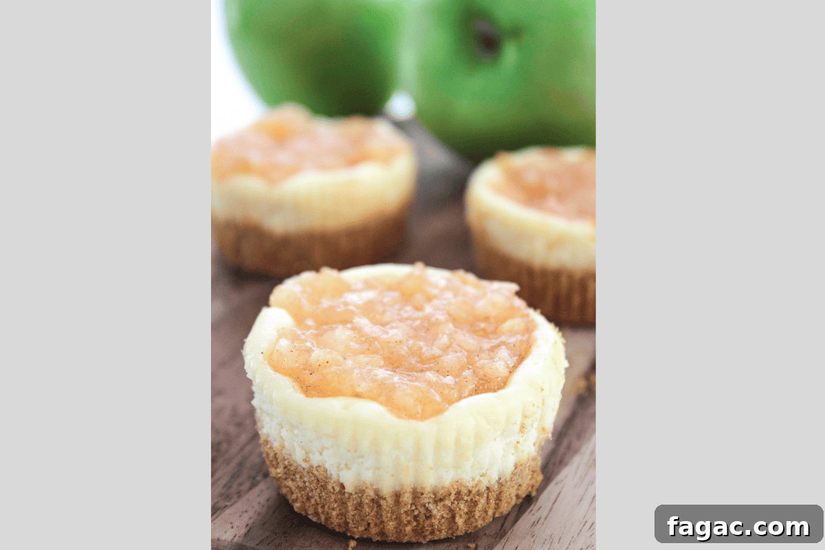 Mini Apple Pie Cheesecake Bites — Bite-Sized Fall Dessert 8 Apple Pie Mini Cheesecakes illustration
