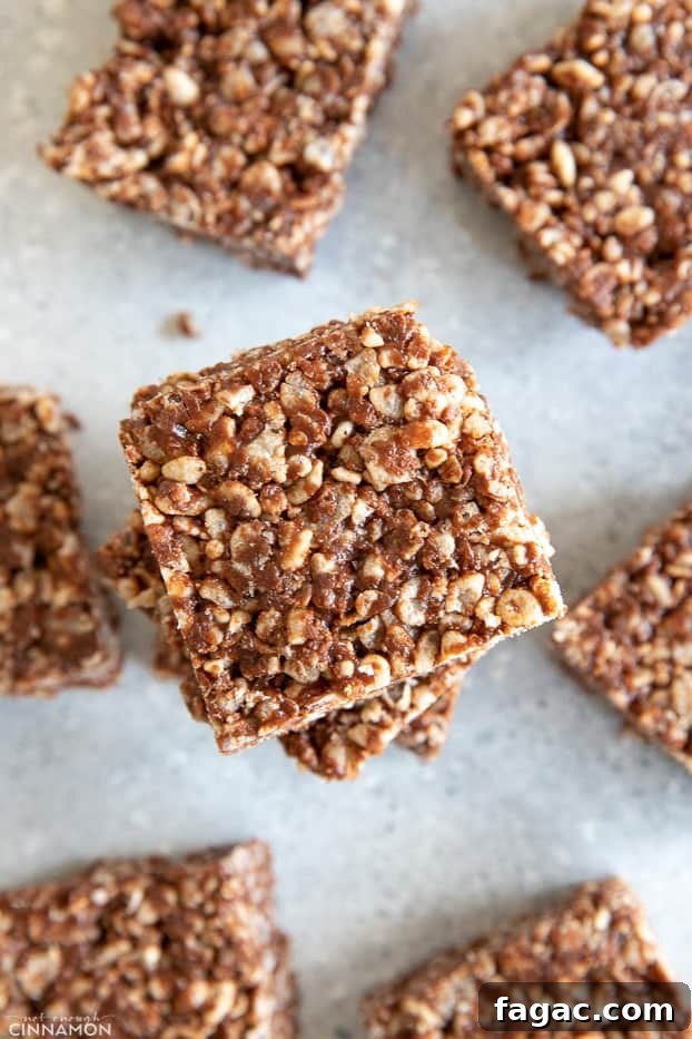 Fudgy Chocolate Rice Krispies Treats 3 Rice krispies treats squares on a grey white background