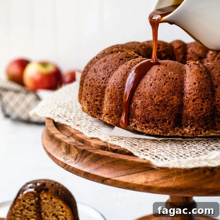Top this best old fashioned applesauce cake with caramel sauce before serving.