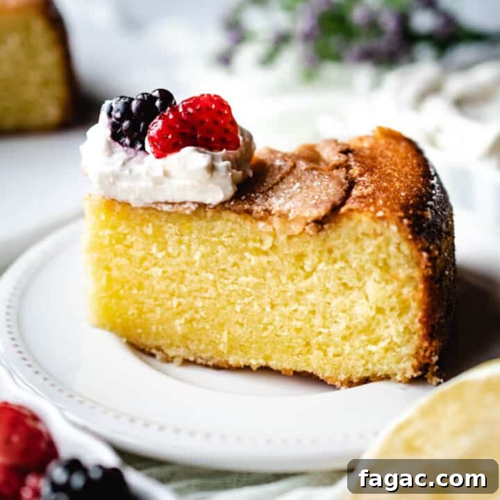 Lemon olive oil cake is wonderfully moist and delicious for any occasion.