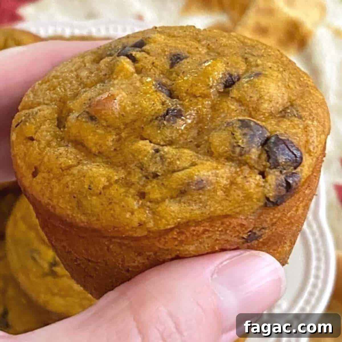 Hand holding a healthy Greek yogurt pumpkin muffin with chocolate chips.