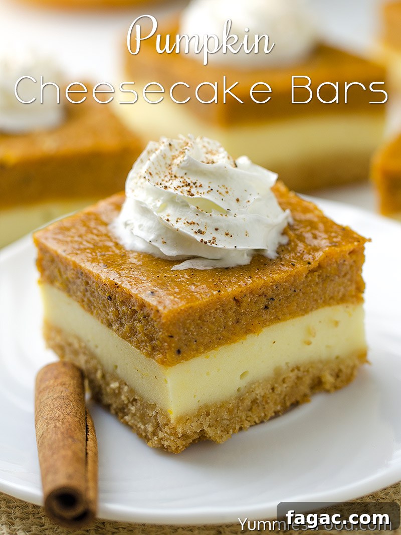 Creamy Pumpkin Cheesecake Bars Recipe with Gingersnap Crust 2 Pumpkin Cheesecake Bars