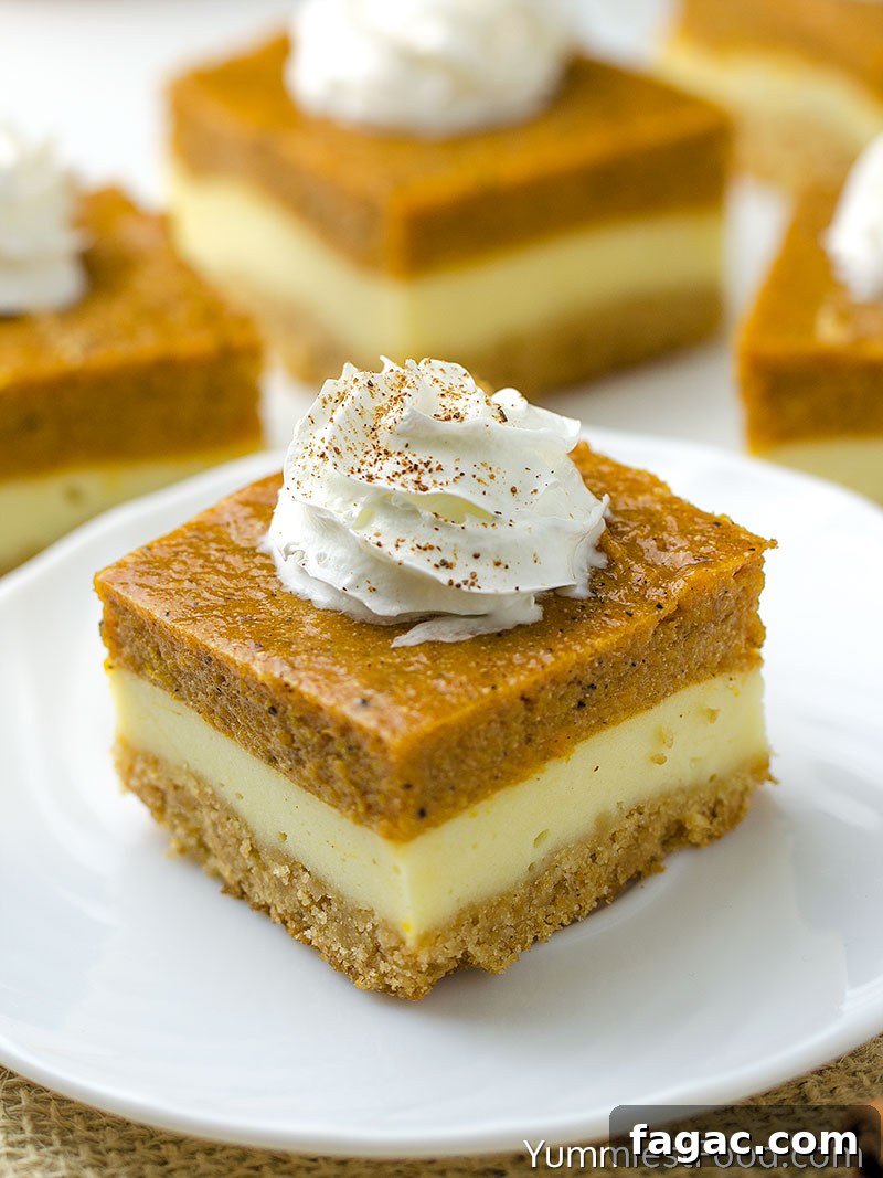 Creamy Pumpkin Cheesecake Bars Recipe with Gingersnap Crust 3 Pumpkin Cheesecake Bars - served on the plate