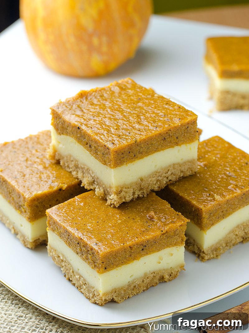 Creamy Pumpkin Cheesecake Bars Recipe with Gingersnap Crust 4 Pumpkin Cheesecake Bars - Served
