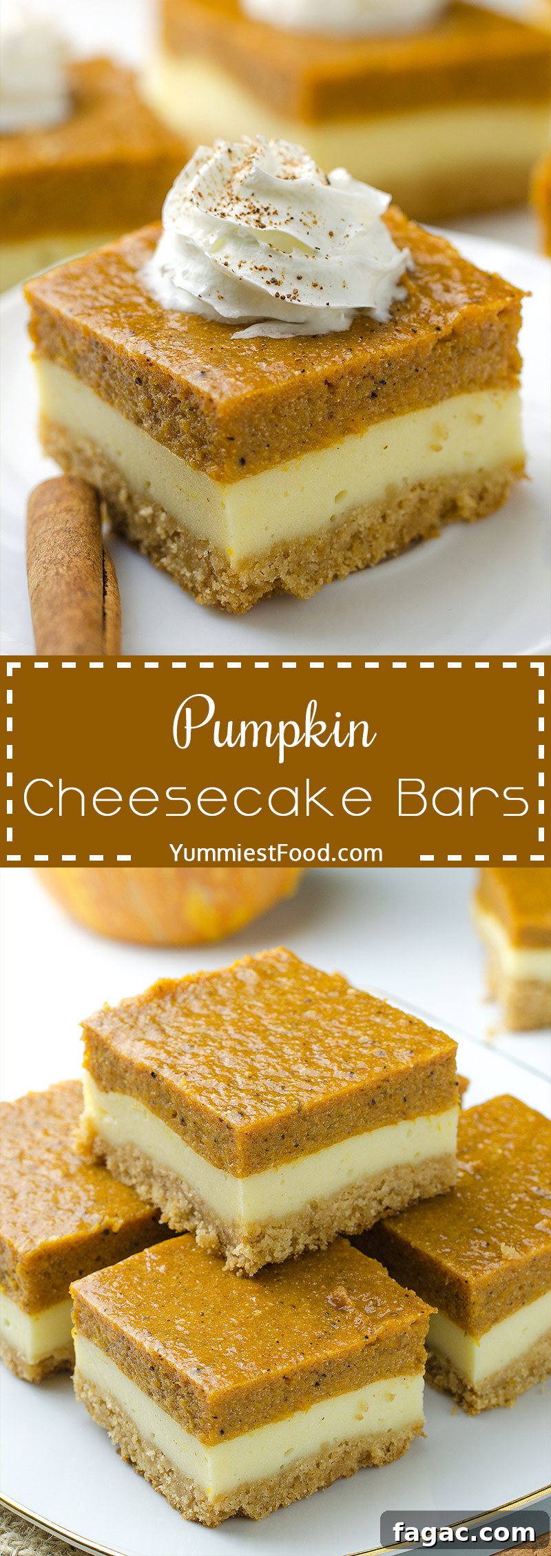 Creamy Pumpkin Cheesecake Bars Recipe with Gingersnap Crust 9 Pumpkin Cheesecake Bars - A super tasty sweet treat during the fall and holiday season