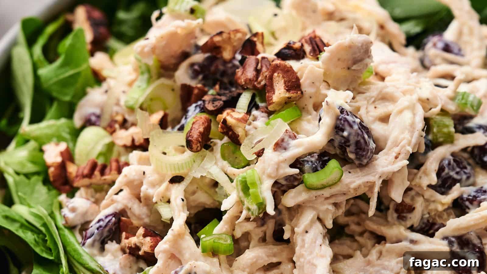 21 Easter Salad Ideas to Refresh Your Holiday Table 15 Close-up of a flavorful chicken salad with diced chicken, green onions, chopped pecans, and raisins, all served on a bed of fresh spinach leaves.