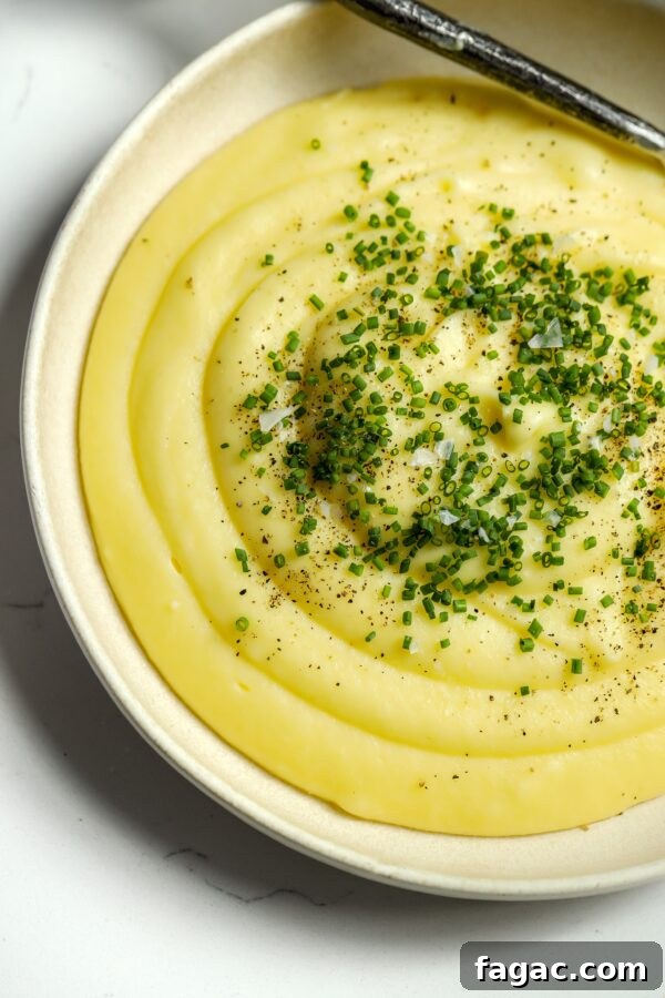 French 75 Grapes: Growing Guide and Wine Uses 6 Pomme Puree Recipe