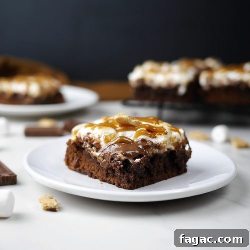 S'mores Brownies with Peanut Butter Sauce: Gooey Campfire Dessert 2 S'mores brownies with peanut butter sauce