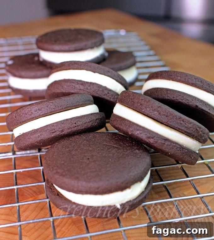 No-Bake Vegan Oreo Cheesecake Recipe 5 Homemade Vegan Oreo Cookies