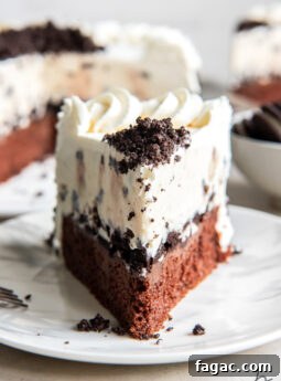 slice of ice cream cake showing chocolate cake layer, cookie crumb and chocolate fudge filling and ice cream layer
