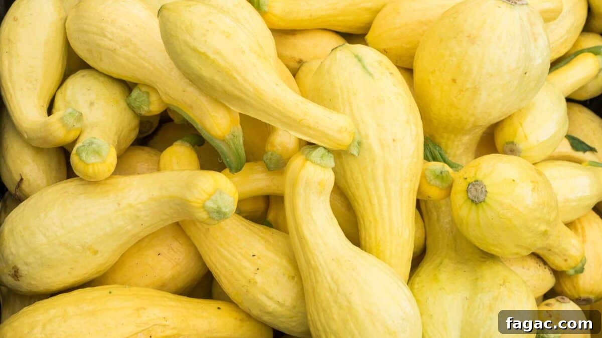 Freeze Summer Squash: Preserve Flavor and Texture 4 A pile of fresh yellow summer squash, displaying various sizes and shapes, with a textured skin and green-tipped stems.