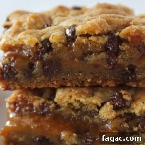 Salted Caramel Chocolate Chip Cookie Bars Recipe & Tips 14 img 7078 17