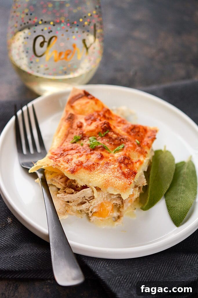 Creamy Chicken and Butternut Squash Lasagna 2 Chicken and Butternut Squash Lasagna
