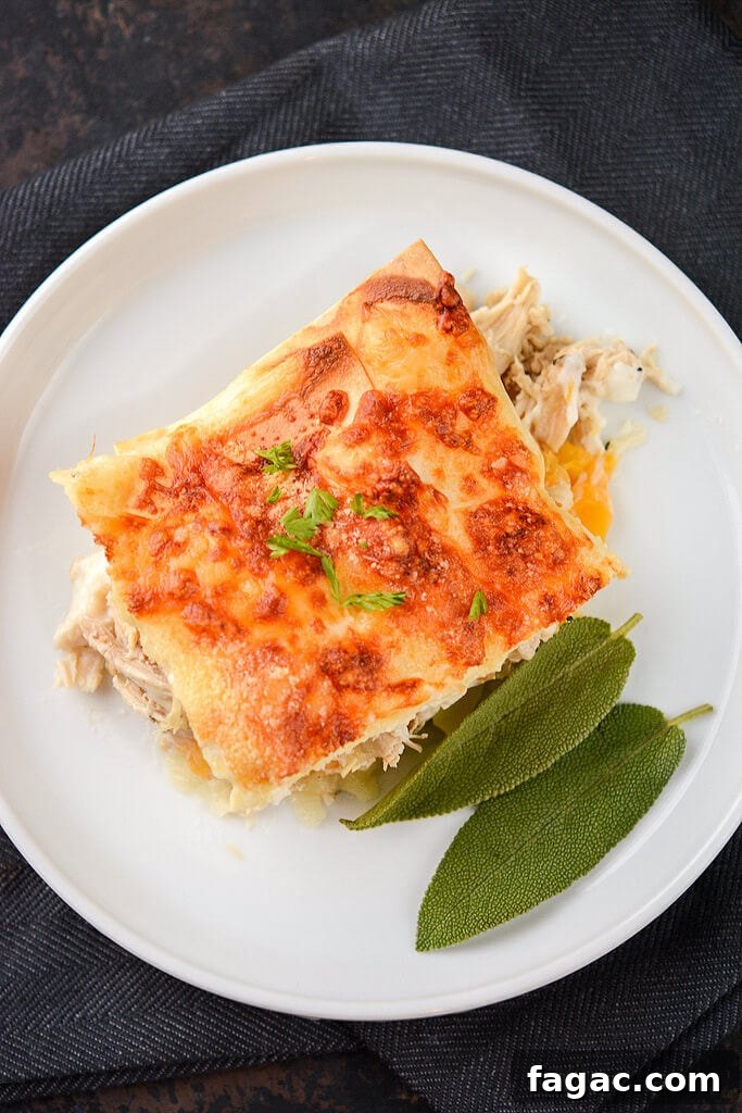 Creamy Chicken and Butternut Squash Lasagna 3 Chicken and Butternut Squash Lasagna