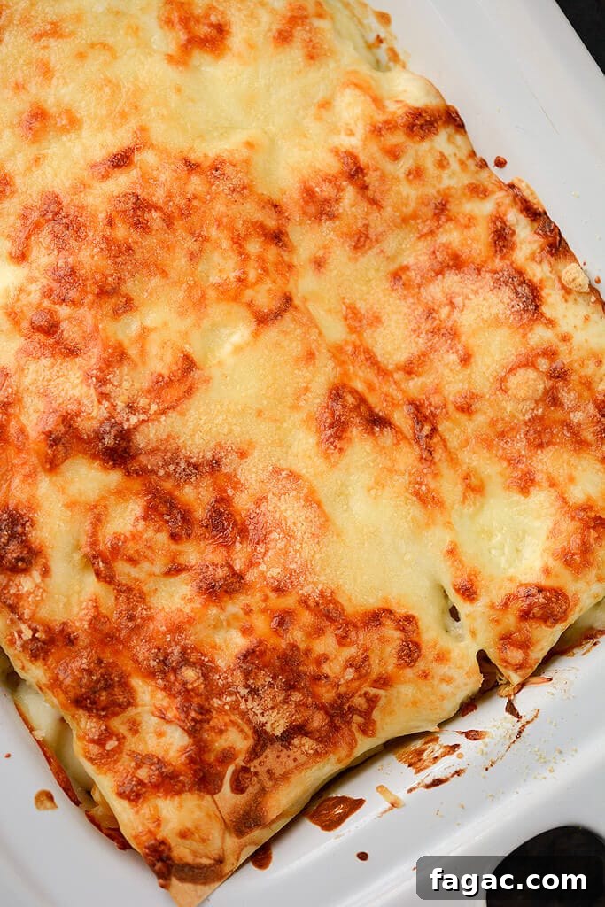 Creamy Chicken and Butternut Squash Lasagna 6 Chicken and Butternut Squash Lasagna