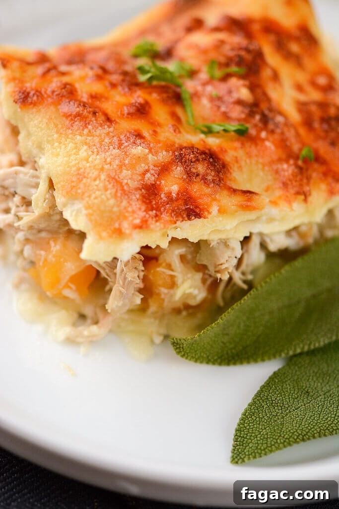 Creamy Chicken and Butternut Squash Lasagna 7 Chicken and Butternut Squash Lasagna