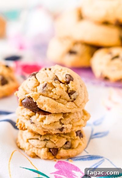Peanut Butter Chocolate Chip Cookies on a plate.