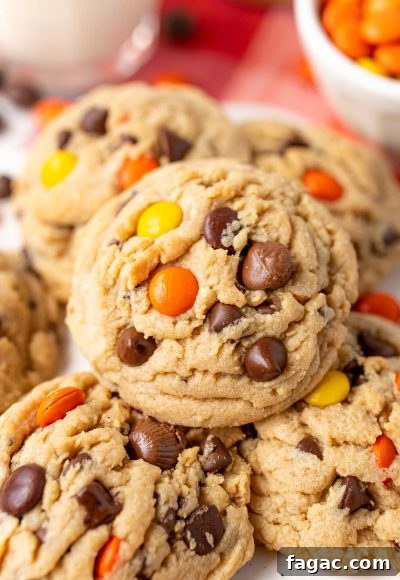 Close up of a peanut butter Reese's pieces cookie.
