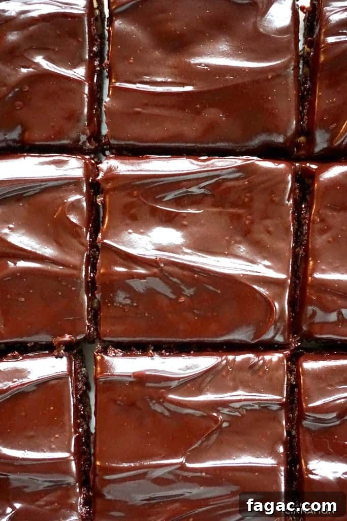 Fudgy Paleo Brownies with Rich Chocolate Frosting Recipe 4 overhead shot of paleo brownies with shiny coconut cream chocolate glaze freshly cut into squares