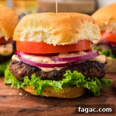 Close up photo of a Buffalo Burger