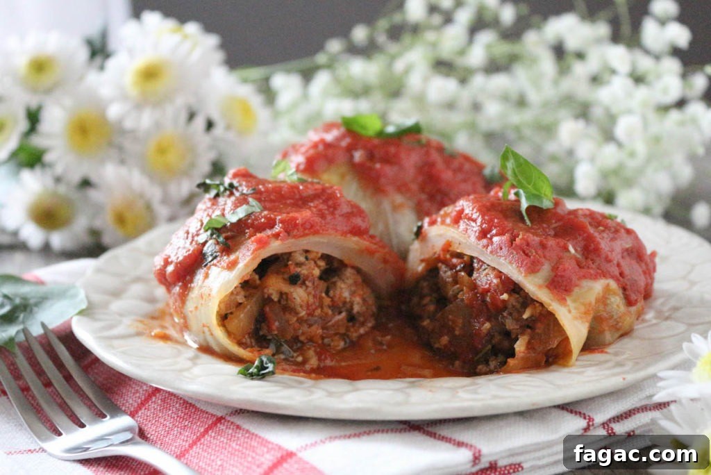 The Ancestral Table: Stuffed Cabbage Rolls Recipe Review 4 img 10827 5