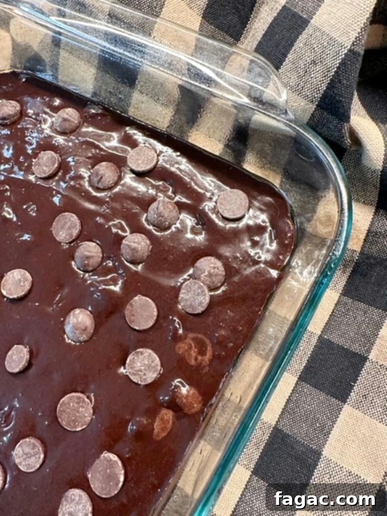 Fudgy Black Bean Brownies Recipe 6 img 11830 5