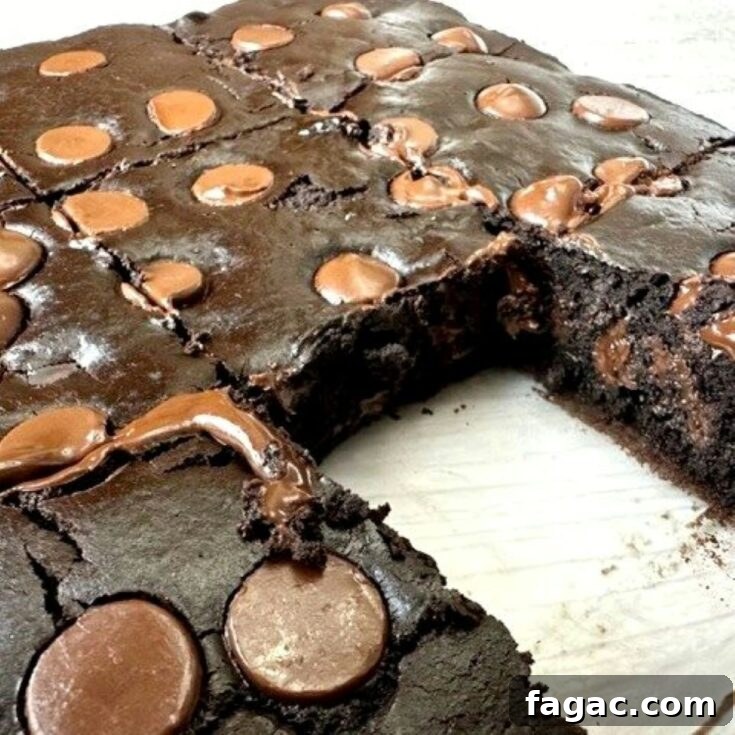 black bean brownies
